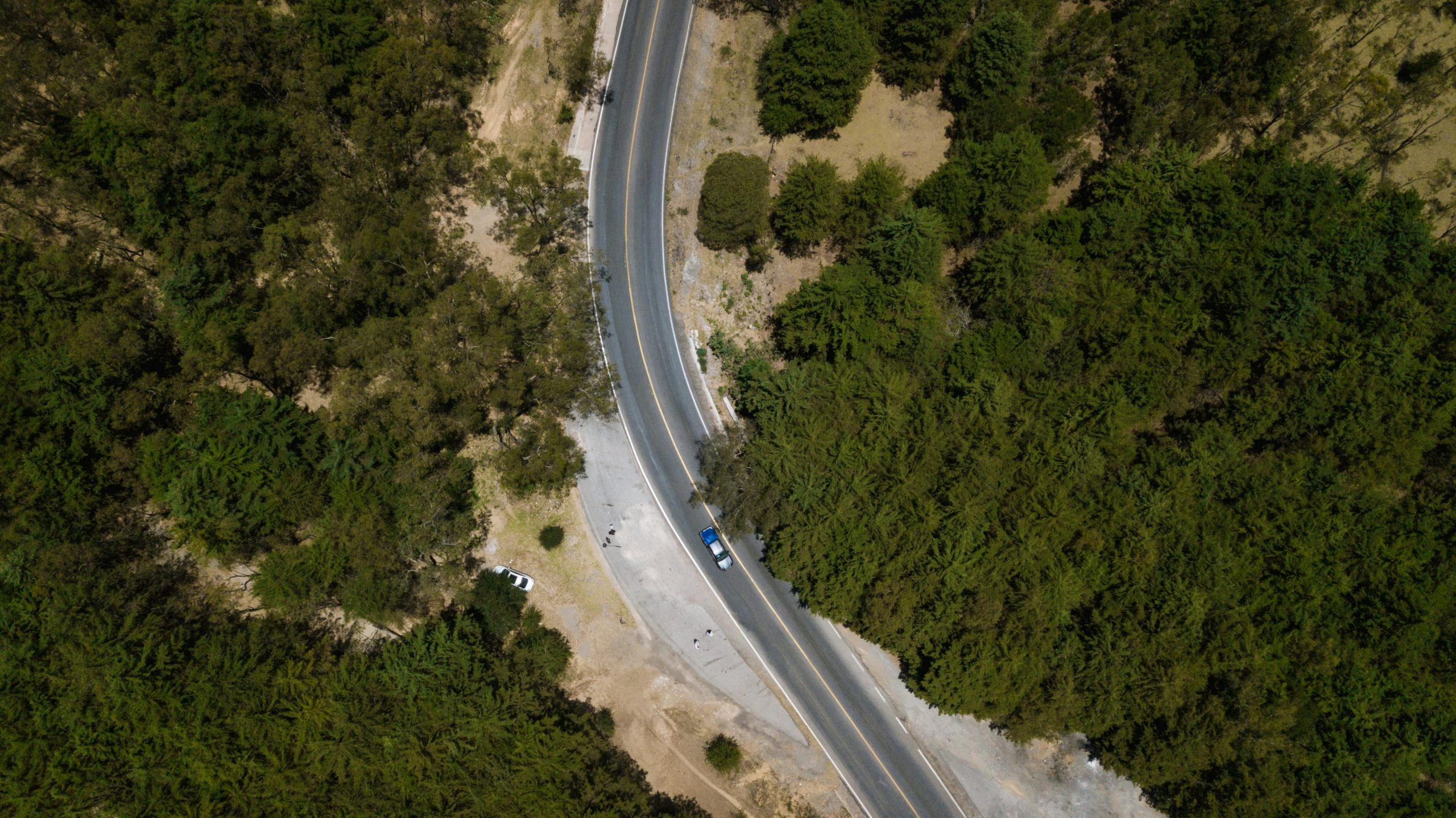 Drone shot of a winding road cutting through lush greenery in San Luis Potosí, Mexico.
